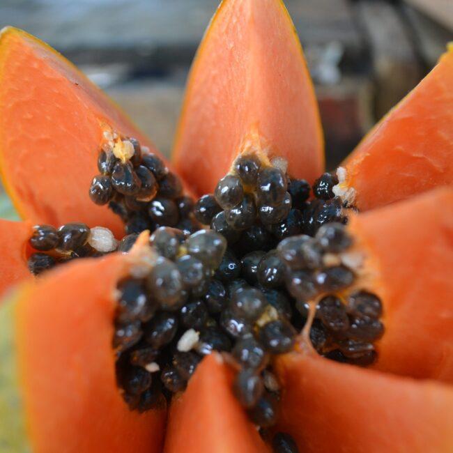 Papaya gegen Parasiten