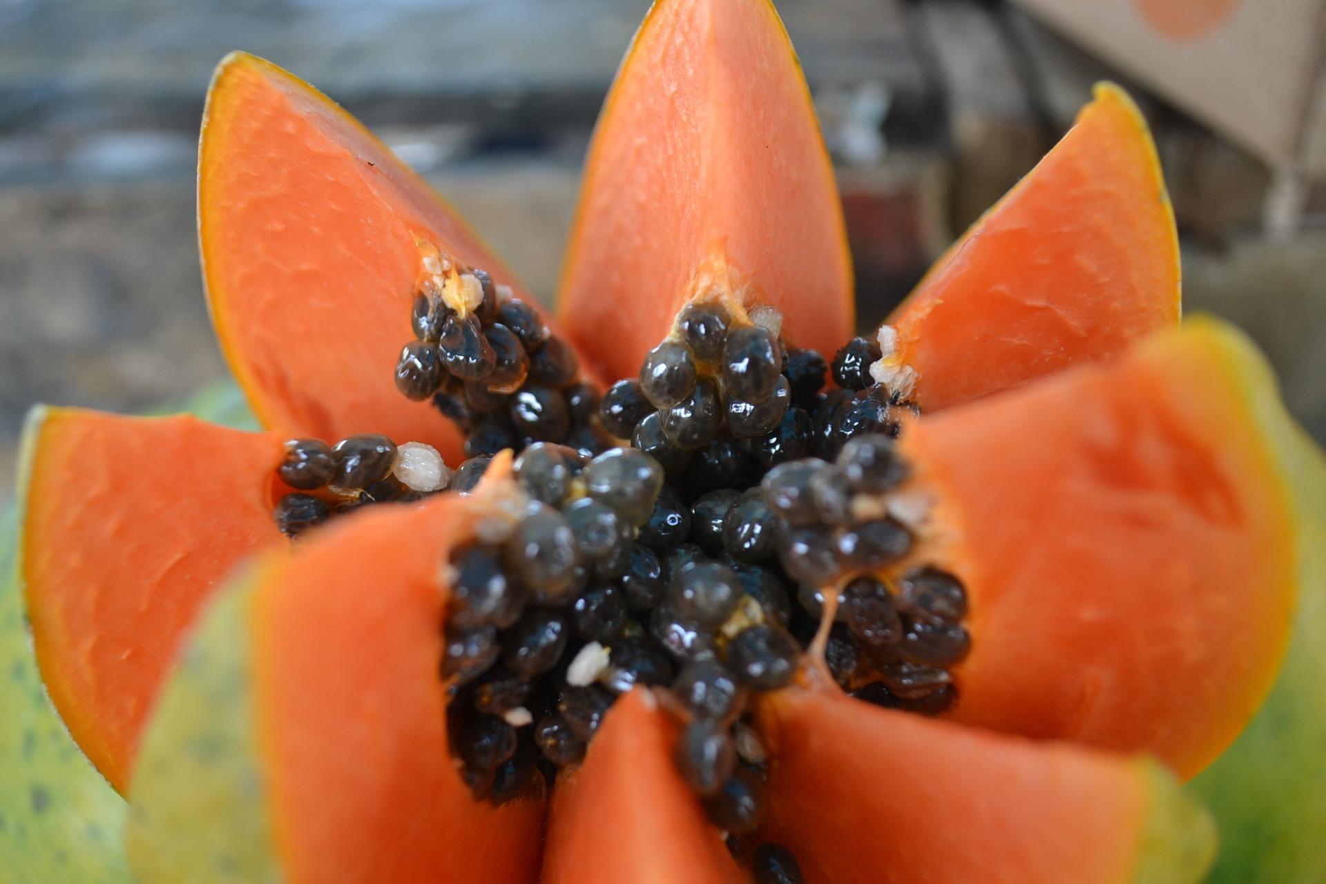 Papaya gegen Parasiten